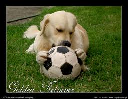golden